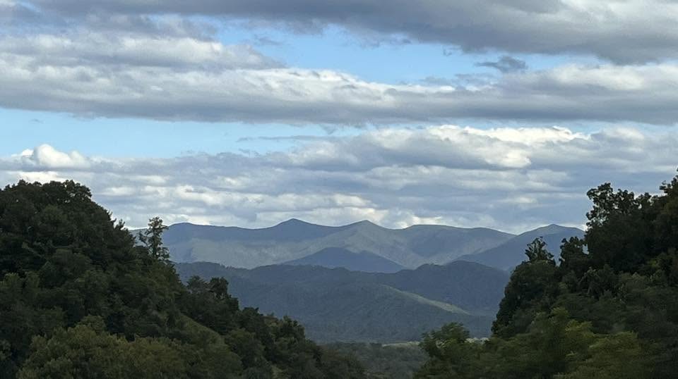 Shared by Renee Welch Huber