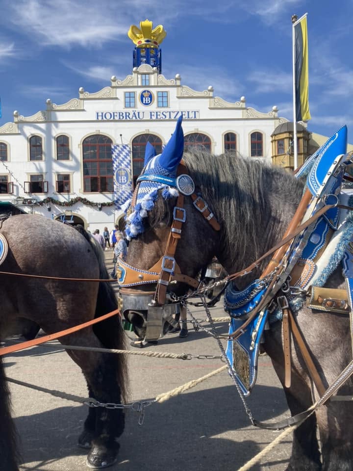 Oktoberfest.  (shared by Bauman-Ruud Household)