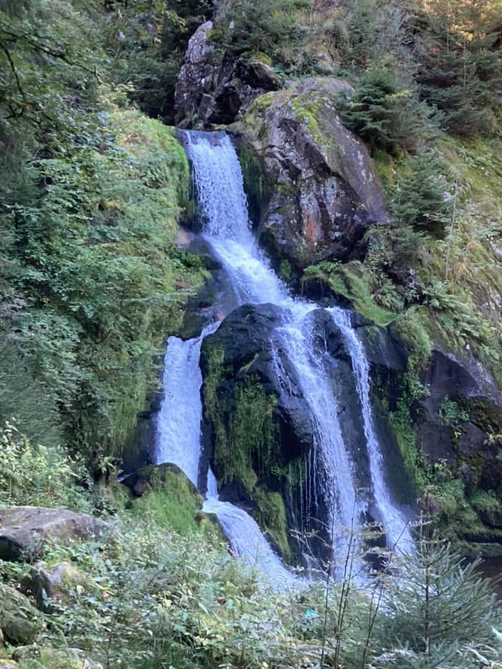 Waterfalls in Triberg.  (shared by Bauman-Ruud Household)