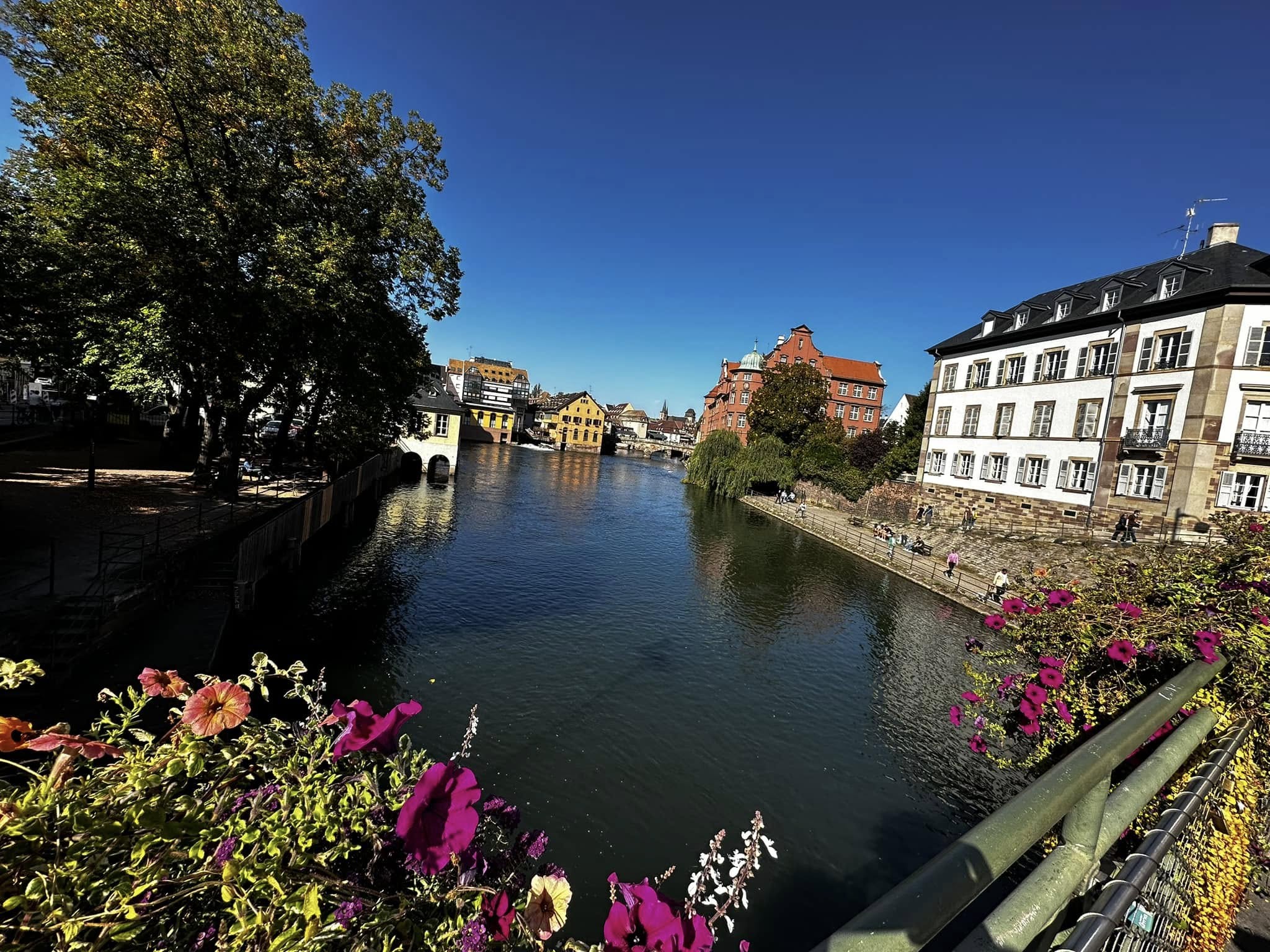 Strasbourg  (shared by Gayle Buzzell)